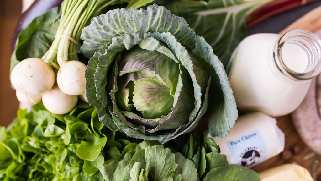 Guide to a Successful Vegetarian Keto Diet Plan