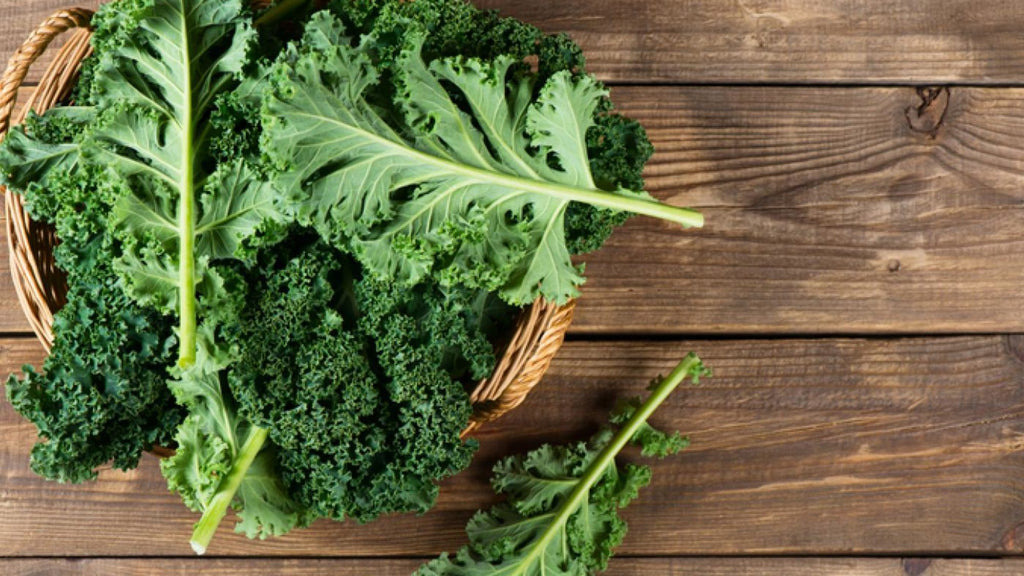 20 Immune-Boosting Anti-Inflammatory Keto Foods
