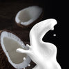 Keto Coconut Soup: Creamy Low Carb Soup Recipe