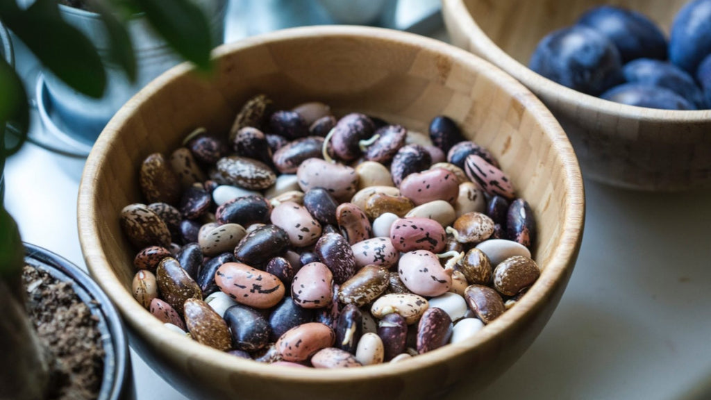 Can I Eat Beans on Keto?