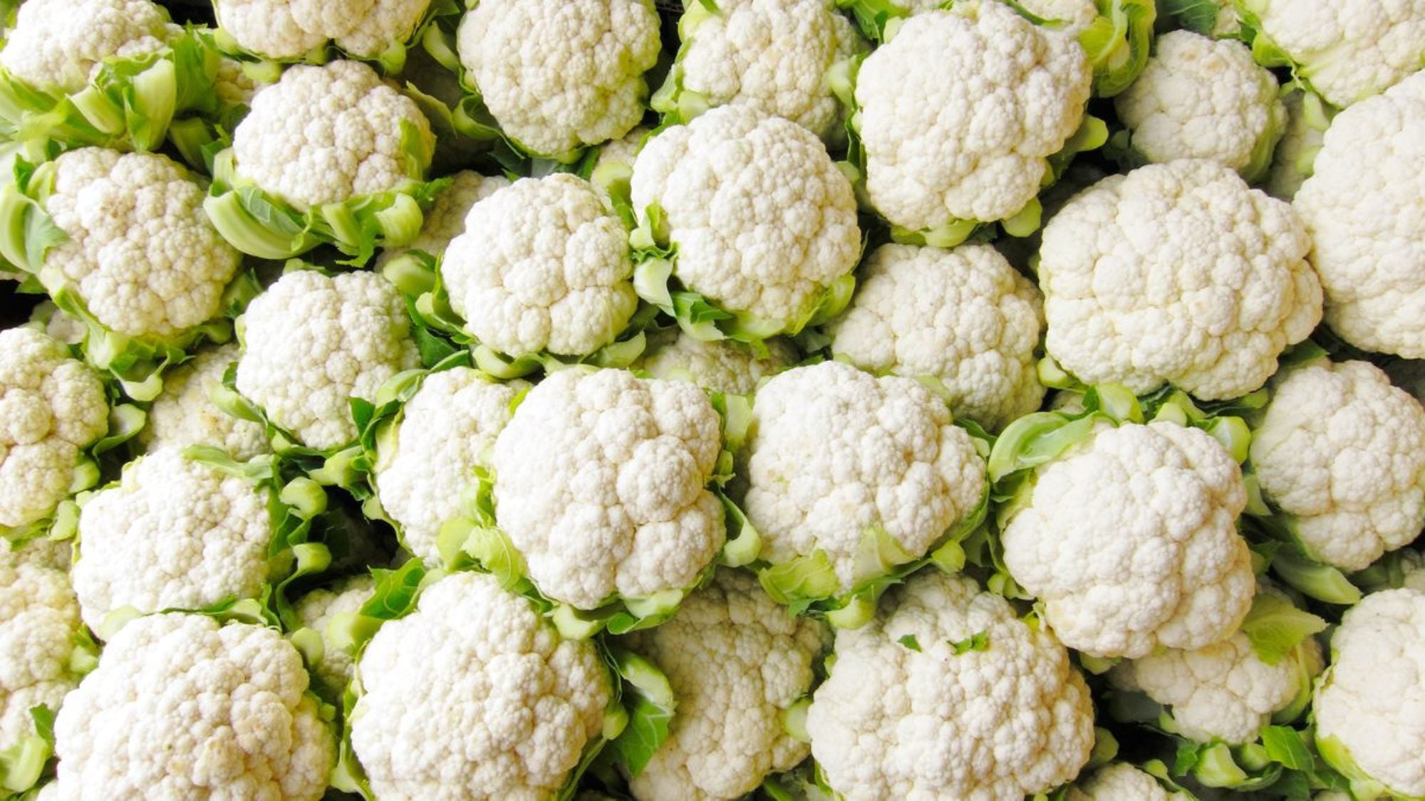 Cauliflower: Why Keto Dieters Love This Low-Carb Vegetable